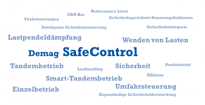 SafeControl_Word_Cloud