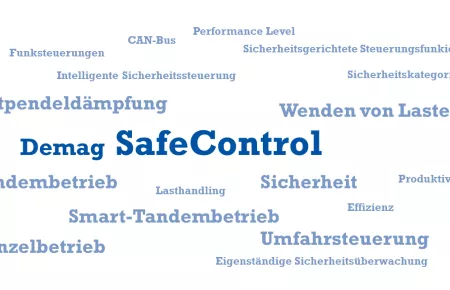 SafeControl_Word_Cloud